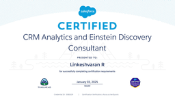 CRM Analytics and Einstein Discovery Consultant